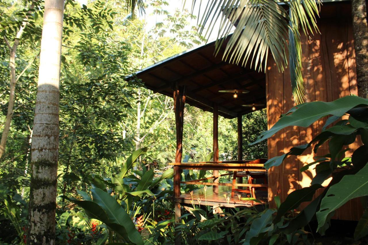 Natural Drake Bay Hotel Boutique Luaran gambar