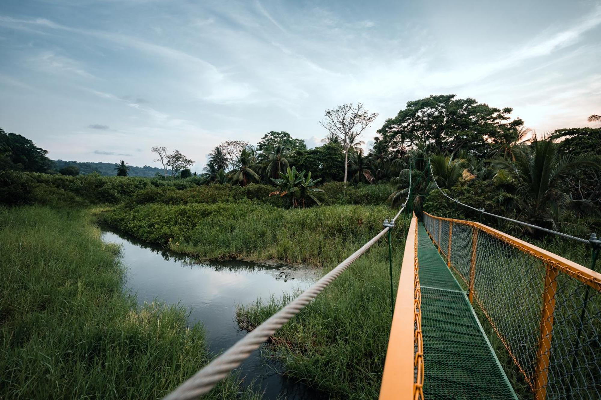 Natural Drake Bay Hotel Boutique Luaran gambar