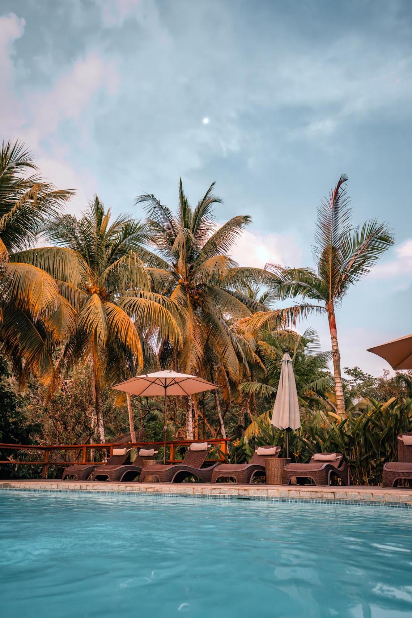 Natural Drake Bay Hotel Boutique Luaran gambar