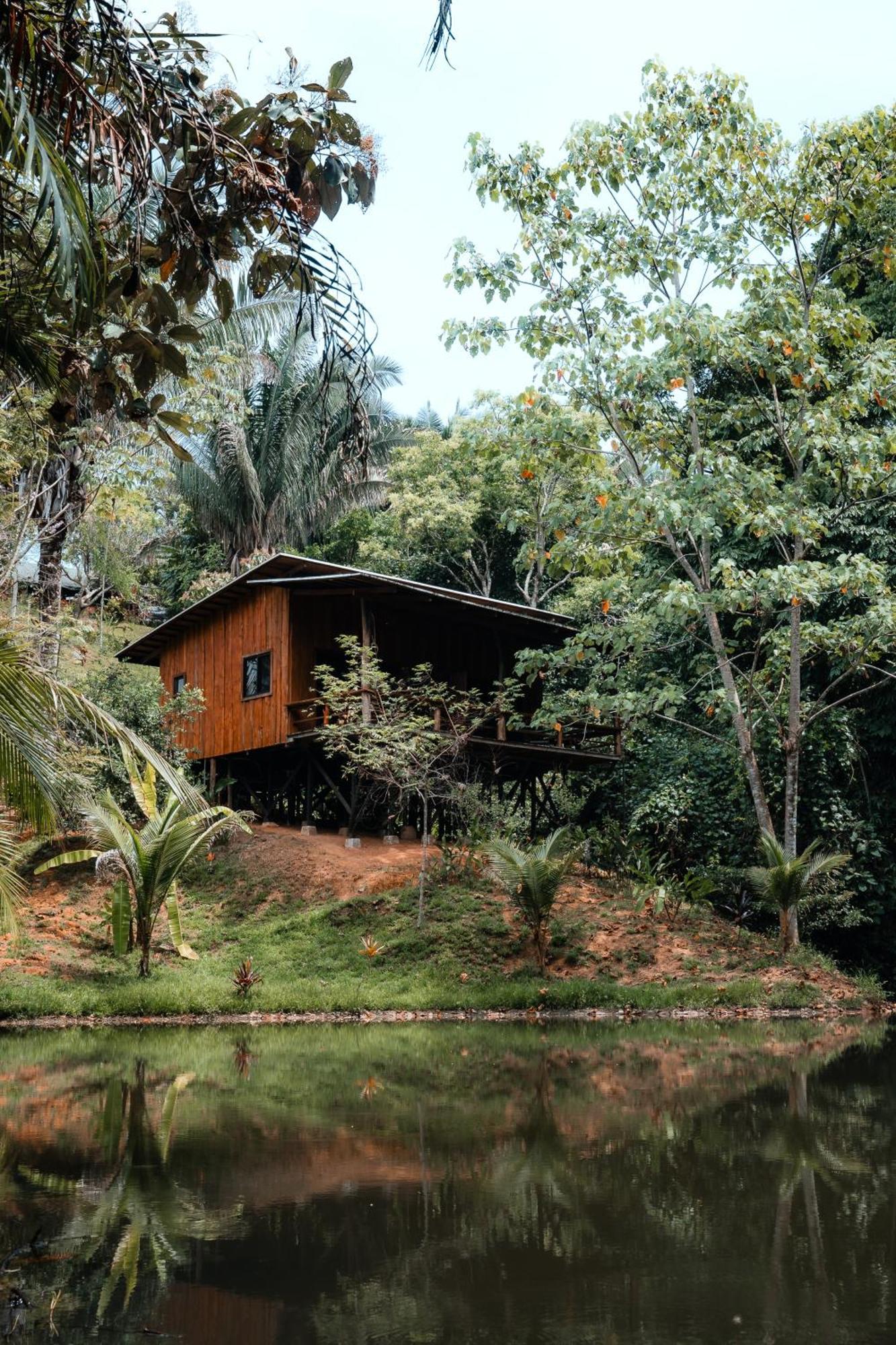 Natural Drake Bay Hotel Boutique Luaran gambar
